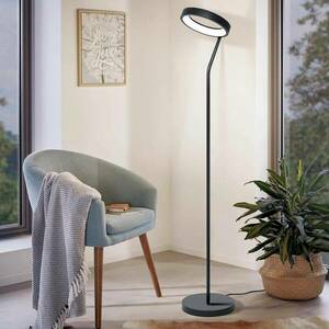 EGLO connect Marghera-C LED álló lámpa kép