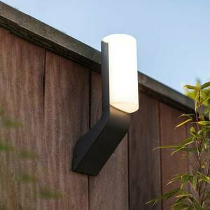 LED külső fali lámpa Bati, IP44 kép