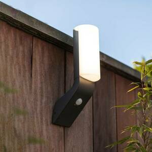 LED külső fali lámpa Bati, mozgásérzékelő, IP44 kép