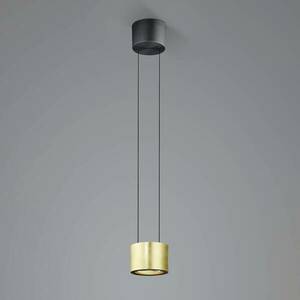 BANKAMP Luce elevata Impulse Flex LED függő 1 izzó kép