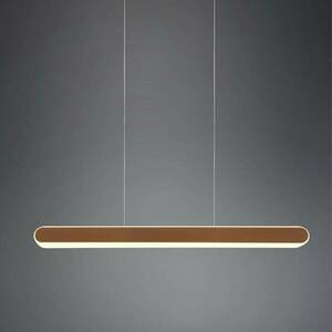 LED lógó világítás Helios kihúzható dimm CCT kávé kép