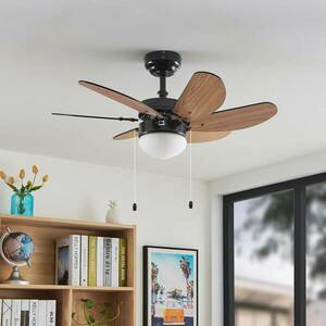 Lindby mennyezeti ventilátor világítással Minja fekete csendes 78 cm kép