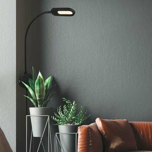 LED fali világítás 2177015 szabályozóval, fekete kép