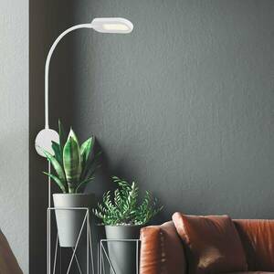 LED fali világítás 2177016 szabályozóval, fehér kép
