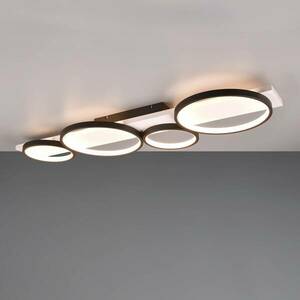 LED mennyezeti világítás Medera, 4 izzós, fekete kép