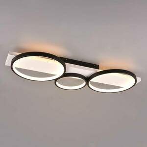 LED mennyezeti világítás Medera, 3 izzós, fekete kép