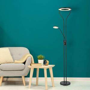 LED-mennyezetvilágító Ebro, LED-olvasólámpa, dimm kép