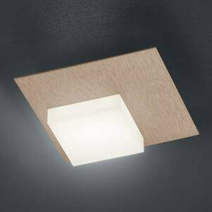 BANKAMP Cube LED mennyezeti lámpa 8W, rózsaarany kép