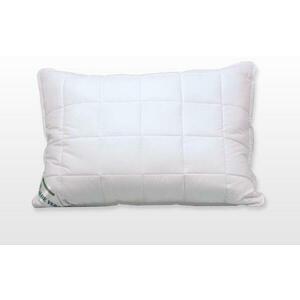 Aloe Vera nagypárna 70x90 cm 900 g (103030194) kép