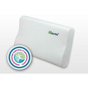 Aloe Vera memory párna 50x30x10, 7 cm (107000014) kép