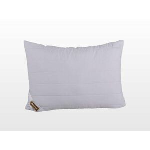 Clima Control Collection félpárna 50x70 cm 500 g (103030722) kép