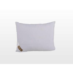 Clima Control Collection kispárna 40x50 cm 300 g (103030723) kép