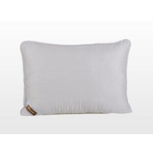 Tencel félpárna 50x70 cm 700 g (103030728) kép