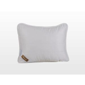 Tencel Collection kispárna 40x50 cm 300 g (103030729) kép