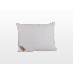 Bamboo Collection kispárna 40x50 cm 300 g (103040006) kép