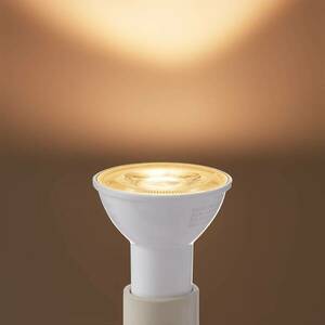 Arcchio LED izzó GU10 2.2W 2700K 350 lumen kép