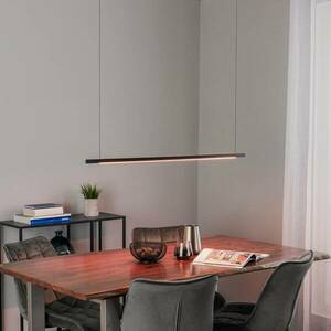 Quitani Talon LED lógó lámpa fekete eloxált 24 W kép