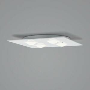 Helestra Nomi LED mennyezeti világítás 38x38cm dim kép