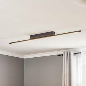 Quitani LED-es mennyezeti lámpa Tolu, fekete, 118 cm kép