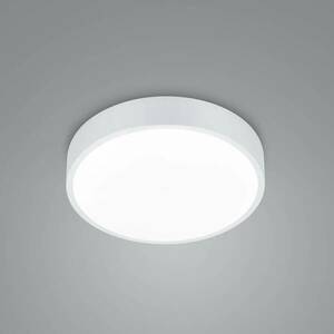 LED mennyezeti lámpa Waco, CCT, Ø 31cm, matt fehér kép