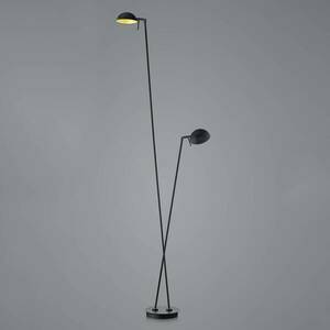 LED állólámpa Samy 2-fényű 180cm fekete/arany kép