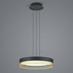 Mesh LED függőlámpa, Ø 45 cm, fekete/arany kép