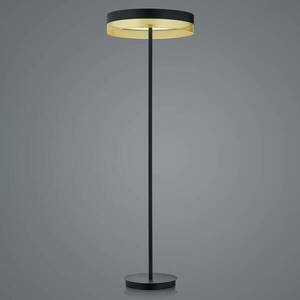 LED állólámpa Mesh, érintéses dimmer, fekete/arany kép
