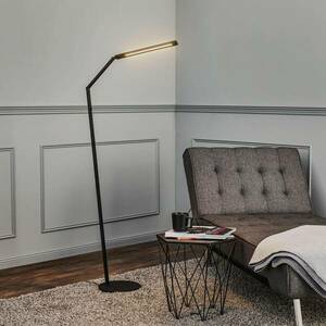 Rothfels Jolamira LED állólámpa, fényerőszabályzó, fekete kép