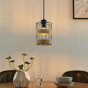 Lindby Espinia függesztéklámpa, egylámpás kép
