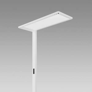 Regent Lighting Lightpad, érzékelő 1fl balra fehér kép