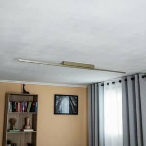 Quitani Niara LED mennyezeti világítás krém elox kép