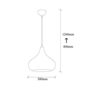 Lógó világítás Saglam 3774 1 izzó Ø30cm fekete kép