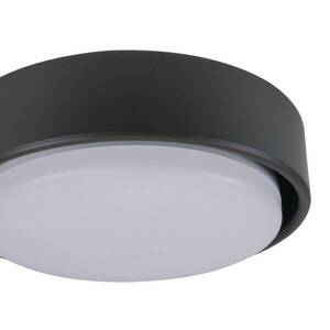 Beacon Lucci Air lámpa mennyezeti ventilátorhoz barna GX53-LED kép