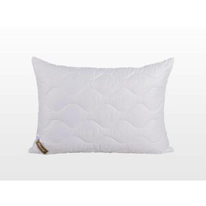 Szatén-pamut Collection félpárna 50x70 cm 500 g (103040002) kép