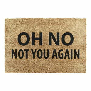 Kókuszrost lábtörlő 40x60 cm Not You Again – Artsy Doormats kép