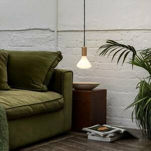 Tala LED izzó Noma matt E27 6W 2700 K 540 lm fényerőszabályozható. kép