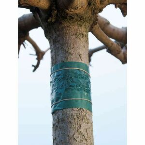 Rovarcsapda fatörzsre, 150cm /6db/karton kép