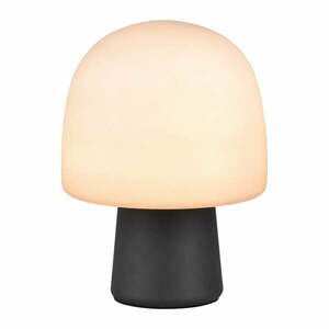 Fekete-fehér asztali lámpa üveg búrával (magasság 27 cm) Steen – Trio kép