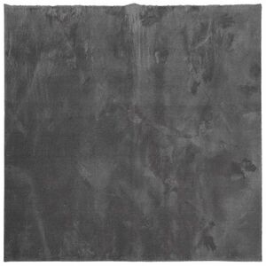 vidaXL HUARTE antracit rövid szálú puha és mosható szőnyeg 200x200 cm kép