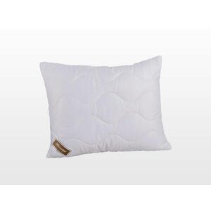 Szatén-pamut Collection kispárna 40x50 cm 300 g (103040003) kép