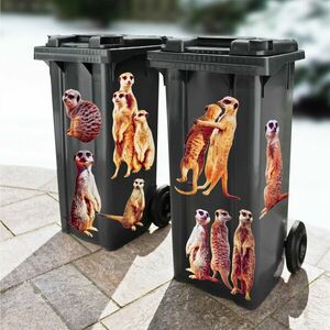 Öntapadós képek a szemeteskukán Meerkats kép