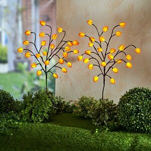 2 LED-es lámpa Physalis kép