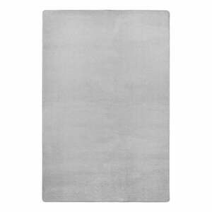 Világosszürke szőnyeg 133x195 cm Fancy – Hanse Home kép