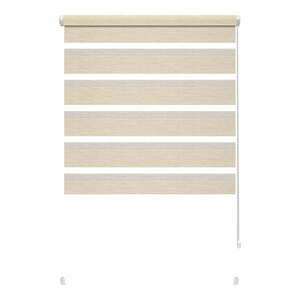 Krémszínű nappali-éjszakai roló 80x150 cm Zebra Silvalin – Gardinia kép