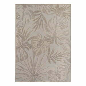 Bézs kültéri-beltéri szőnyeg 120x170 cm Desert 1302 – Ayyildiz Carpets kép