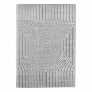 Szürke kültéri-beltéri szőnyeg 160x230 cm Nova 1201 – Ayyildiz Carpets kép