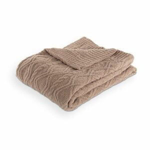 Barna mikroplüss takaró 130x170 cm Aspen – Tiseco Home Studio kép
