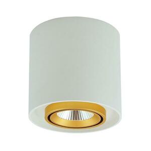 LED Spotlámpa XENO LED/15W/230V fehér 1200lm 312051 kép
