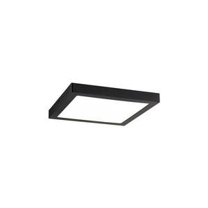 Paulmann 70985 - LED/22W Mennyezeti lámpa ABIA 230V 70985 kép