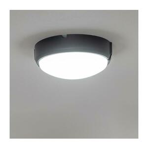 BRILAGI - LED Mennyezeti ipari lámpa SIMA LED/12W/230V IP65 fekete PD-S20124-00 kép